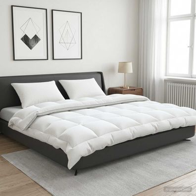 vidaXL Bettdecke und Kissen Set 3 pcs 220x240 cm 4 Jahreszeiten Wolle