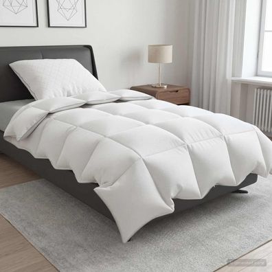 vidaXL Gänsedaunen-Bettdecken-Set 90% FULDA 2 pcs 135 x 200 cm 210 GSM