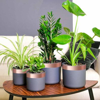 vidaXL Kupferband zum Schneckenschutz 6 pcs Kupfer 50 mm x 20 m Kupfer