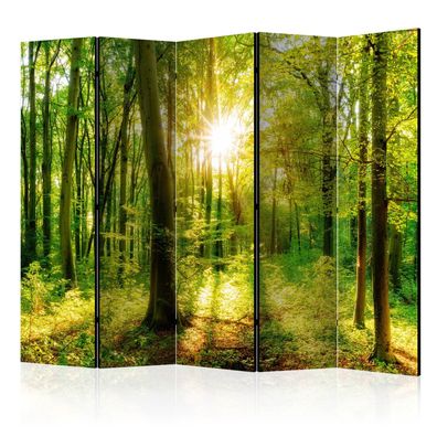 Einseitig bedruckter Paravent 5-teilig Raumteiler klappbar Sonnenstrahlen Wald Natur