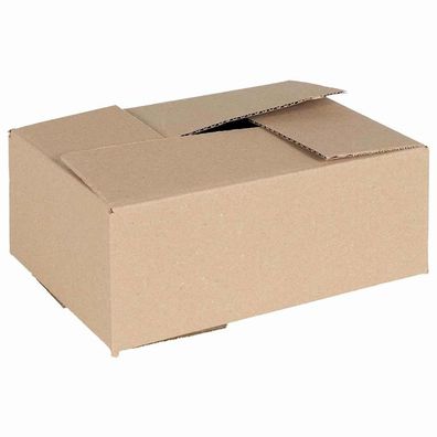 vidaXL Faltbox mit Speicher 50 pcs Natur 25 x 17,5 x 10 cm Karton