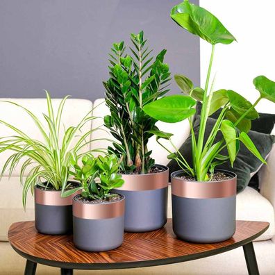 vidaXL Kupferband zum Schneckenschutz 6 pcs Kupfer 70 mm x 20 m Kupfer