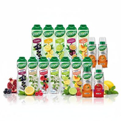 Teisseire Sirup - verschiedene Sorten - 600ml