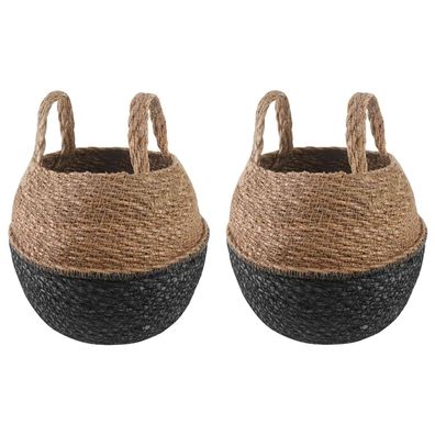 vidaXL Pflanzenkübel mit Griffen 2 pcs Schwarz Ø 22 x 20 cm
