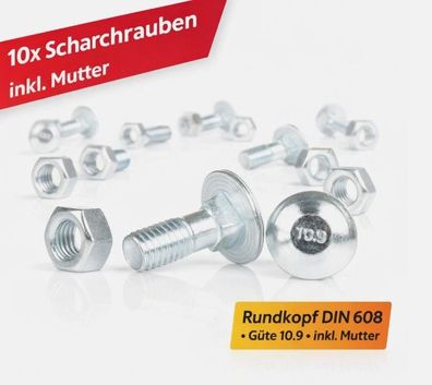 10x Scharschraube Planetschraube Schraube für Grubberschar Grubber Schar M12x30