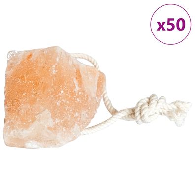 vidaXL Salzlecksteine Rosa Steinsalz