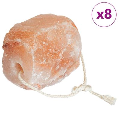 vidaXL Salzlecksteine Rosa Steinsalz