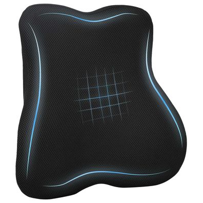 vidaXL Rückenkissen Schwarz Viscoschaum 40 x 40 x 11 cm