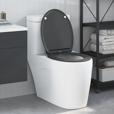 vidaXL Toilettensitz Anthrazit 45,5 x 37,5 x 3,8 cm Duroplast