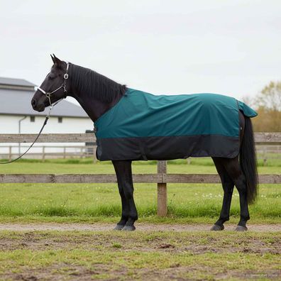 vidaXL Pferdedecke Dunkelgrün und Schwarz 165 cm Polyester