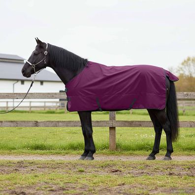 vidaXL Pferdedecke Dunkelgrün und Schwarz 135 cm Polyester