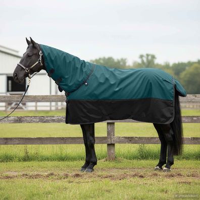 vidaXL Pferdedecke Dunkelgrün und Schwarz 135 cm Polyester