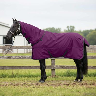 vidaXL Pferdedecke Dunkelgrün und Schwarz 155 cm Polyester