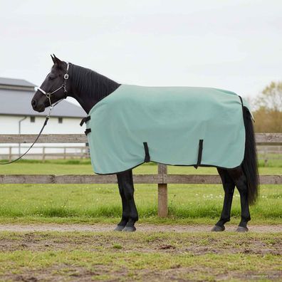 vidaXL Pferdedecke Sondergrün 85 cm Polyester