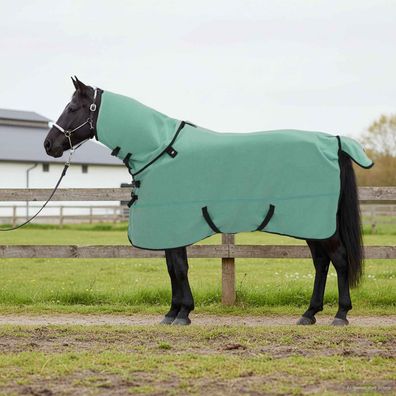 vidaXL Pferdedecke Sondergrün 155 cm Polyester