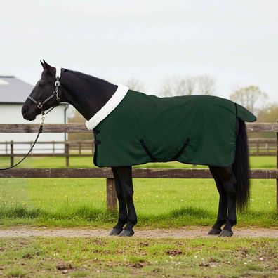 vidaXL Pferdedecke Dunkelgrün 95 cm Polarfleece