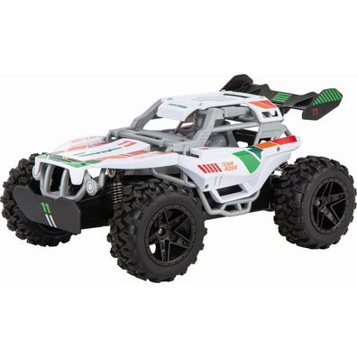 Carrera 2,4Ghz Team Rider