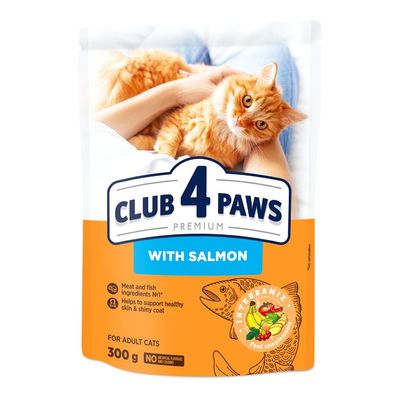 CLUB 4 ?APY KATZE 300 g Lachs