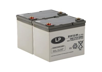 Akku-Satz 24V 39Ah für Freerider E6, Venus, Langeneß 3 & Worker