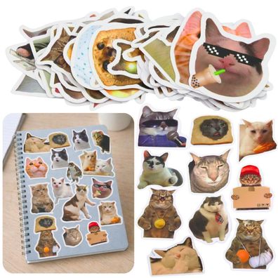 Set mit Katzenaufklebern, Memes, verschiedene Motive, 50 Stück, 7-8 cm