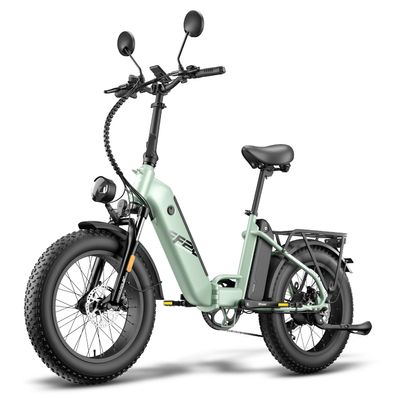 FF20 Polar-L1e-B zertifizierte,20"falt-e-bike,500-W, eilzugbetätigte Scheibenbremsen