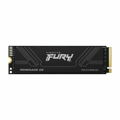 Fury Renegade Internal (SFYR2S 2T0) SSD 2TB M 2 2 2
