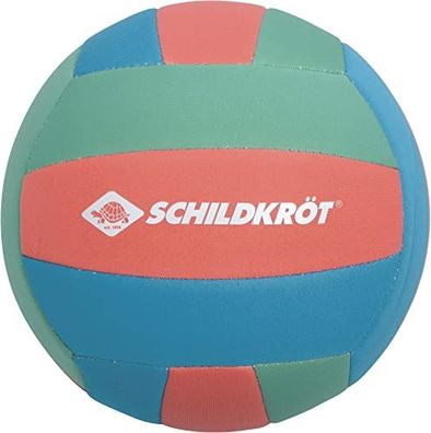 Schildkröt Tropischer Beachvolleyball