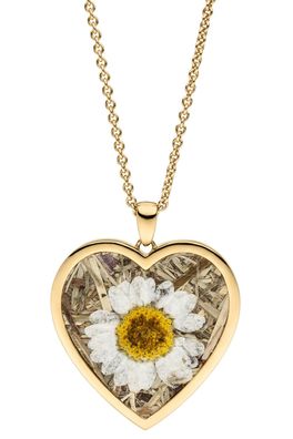Viventy Schmuck Damen-Halskette Herz mit Marguerite/Kornblume Silber vergoldet 78324