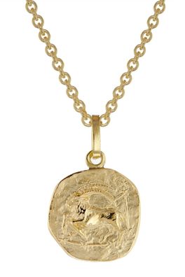 trendor Schmuck Sternzeichen für Kinder Steinbock Gold 333 Anhänger + Kette 75905-01