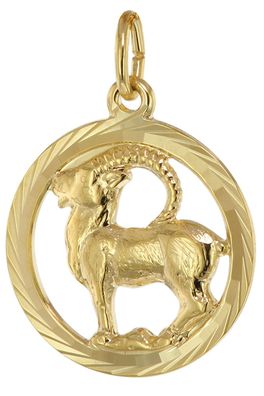 trendor Schmuck Sternzeichen Steinbock 333 Gold Anhänger Ø 16 mm 39000-01