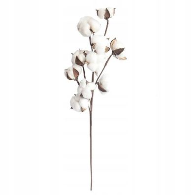 Natural Plant Bawe?na Branch Schöne Dekoration 1Pc Restaurant Salon 53Cm