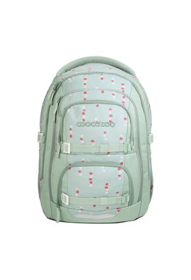 Coocazoo Porter Schulrucksack (Gr. Universal)