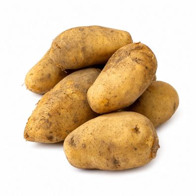 Kartoffel Sieglinde festkochende Speisekartoffeln 1-25 KG Ernte 2026