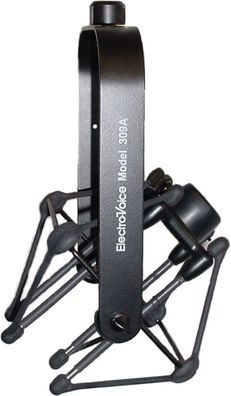 Electro Voice 309A