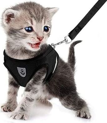 Katzengeschirr Leine Set L - ausbruchsicher