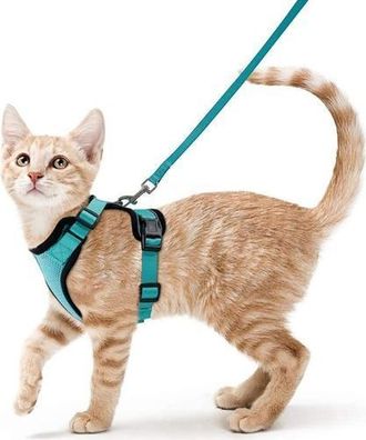 Katzengeschirr mit Leine S - Leuchtgeschirr