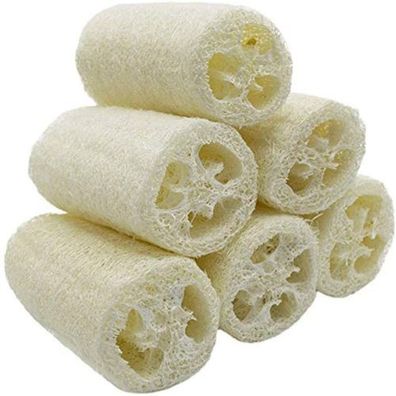 Luffa Schwamm 6 Stück - Natur Peeling Body Scrubber