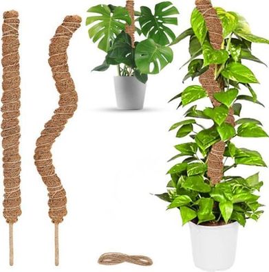 Rankhilfe 60cm 2 Stück - Moosstab Kokos für Kletterpflanzen
