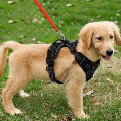 Hundegeschirr No-Pull Gr. S - gepolstert reflektierend