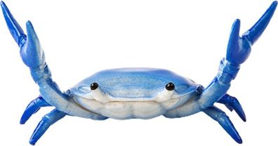 Krabben-Stifthalter Blau - Tierdesign fürs Büro
