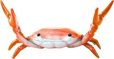 Krabben-Stifthalter Rot - Tierdesign fürs Büro