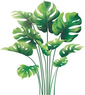 Wandaufkleber Tropische Pflanzen selbstklebend - Wandtattoo PVC