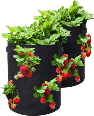 2x Pflanzsack 43L Erdbeer Vliesstoff - Balkon mit 8 Taschen