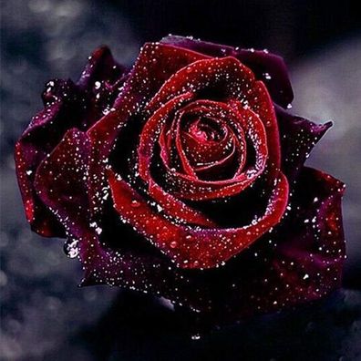 Diamond Painting Rose 5D 30x30cm - DIY Crystal Full Set
