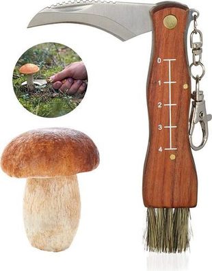 Pilzmesser klappbar mit Bürste - doppelseitige Klinge Camping