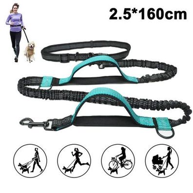 Joggingleine Hund Orange 160cm - Freihandleine elastisch ab 15kg