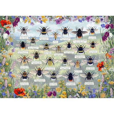 Gibsons Puzzle Brillante Bienen 1000 Teile