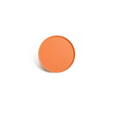 Pro Matte Lidschatten Puder-Regel Nachfüllpackung 1,5 g