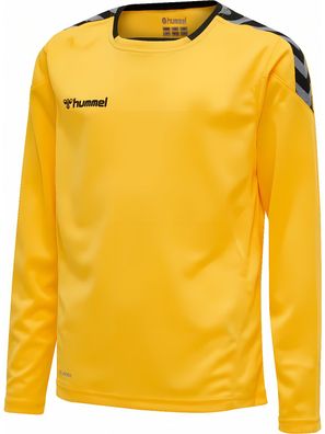 Hummel Kinder Longsleeve Hmlauthentic Kids Poly Jersey L/S 204923