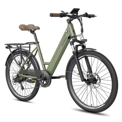 Fafrees F26 Pro 26"city-elektrofahrrad,250w 36v 15ah eingebauter herausnehmbarer akku